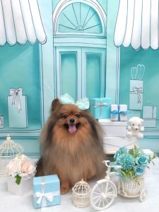 20260317_103814~2_copy_1936x2582