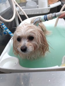 20260317_105419_copy_2028x2704