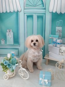 20260317_121006_copy_1952x2604