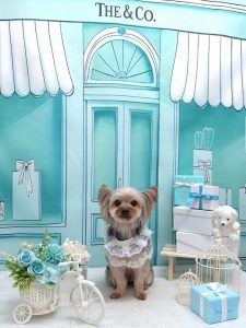 20260317_151057(1)~3_copy_1872x2498