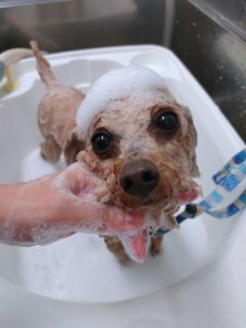 20260317_152615_copy_2530x3373