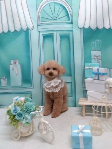 20260317_161815_copy_2096x2794