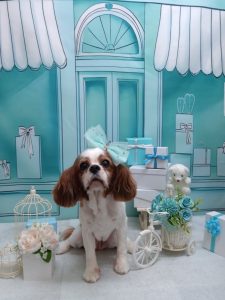 20260317_185120_copy_2002x2668