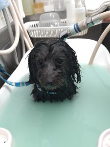 20260319_095435_copy_2042x2722