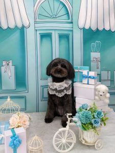 20260319_123449~2_copy_2009x2681