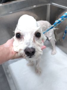 20260319_134029_copy_2700x3600_1