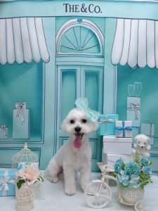 20260319_154739_copy_1856x2476