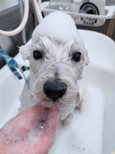 20260319_161331_copy_2566x3421