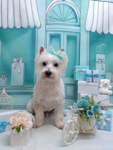 20260319_171110_copy_1992x2658