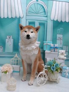 20260319_184832_copy_1932x2576