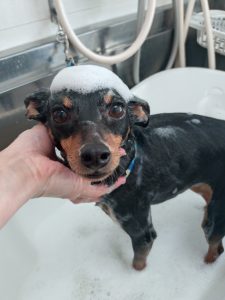 20260321_091631_copy_2830x3773