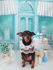 20260321_094345_copy_2230x2974