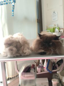 20260321_102951_copy_3019x4025