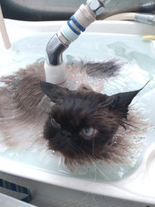 20260321_104804_copy_2160x2880