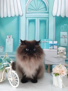 20260321_120108(1)_copy_2064x2752