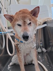 20260321_131116_copy_2655x3541