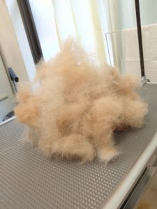 20260321_140757_copy_2489x3319