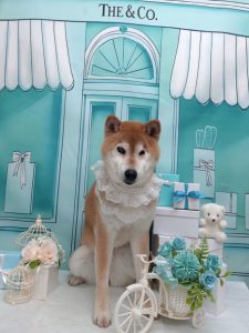 20260321_141823_copy_2088x2784