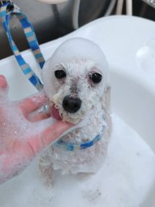 20260321_144940_copy_2507x3343_1