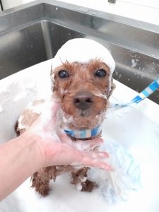 20260321_173105_copy_2632x3508_1