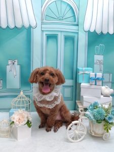 20260321_185446_copy_1944x2592