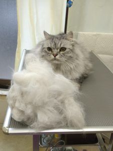 20260323_091931_copy_1872x2498