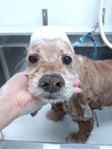 20260323_103343_copy_2700x3600_1