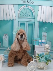 20260323_121442~2_copy_1940x2586