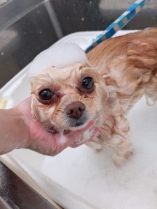 20260323_125629_copy_2548x3397