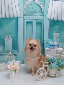 20260323_140303~2_copy_1984x2648