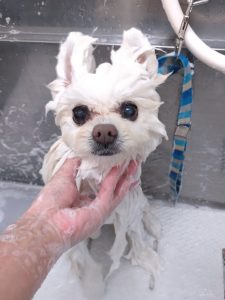 20260323_143124_copy_2537x3383_1