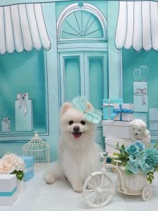 20260323_154126_copy_2160x2880