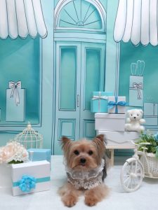 20260323_171414_copy_2160x2880