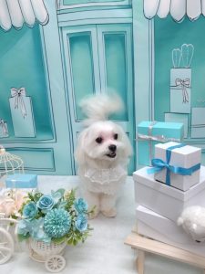 20260323_182236_copy_2160x2880