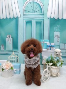 20260323_191121_copy_2034x2712