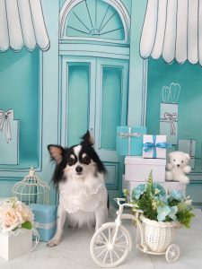 20260324_095231~2_copy_1964x2620