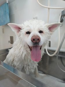 20260324_104723_copy_3000x4000~2_copy_3000x4000