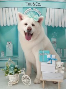 20260324_121406_copy_1756x2342