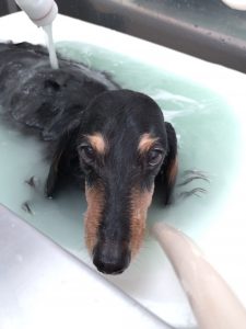 20260324_123812_copy_2006x2674