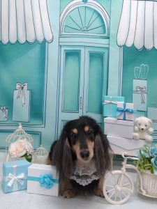 20260324_140201(1)_copy_1980x2640