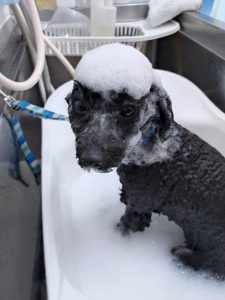 20260324_150353~2_copy_2844x3792