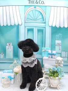 20260324_164925~2_copy_1912x2550