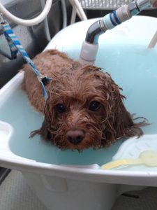 20260326_123833_copy_2020x2694