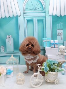 20260326_152605~3_copy_2034x2714