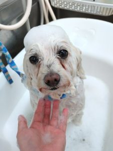 20260326_154655_copy_2610x3480_1