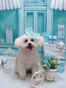 20260326_164911_copy_1868x2490