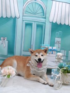 20260326_175221_copy_1854x2472