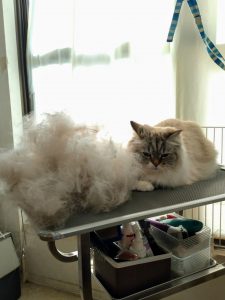 20260327_092144~2_copy_2160x2880