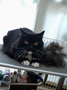 20260327_100047~2_copy_1780x2374