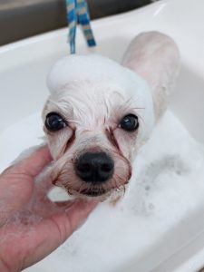 20260327_104344_copy_2620x3493_1